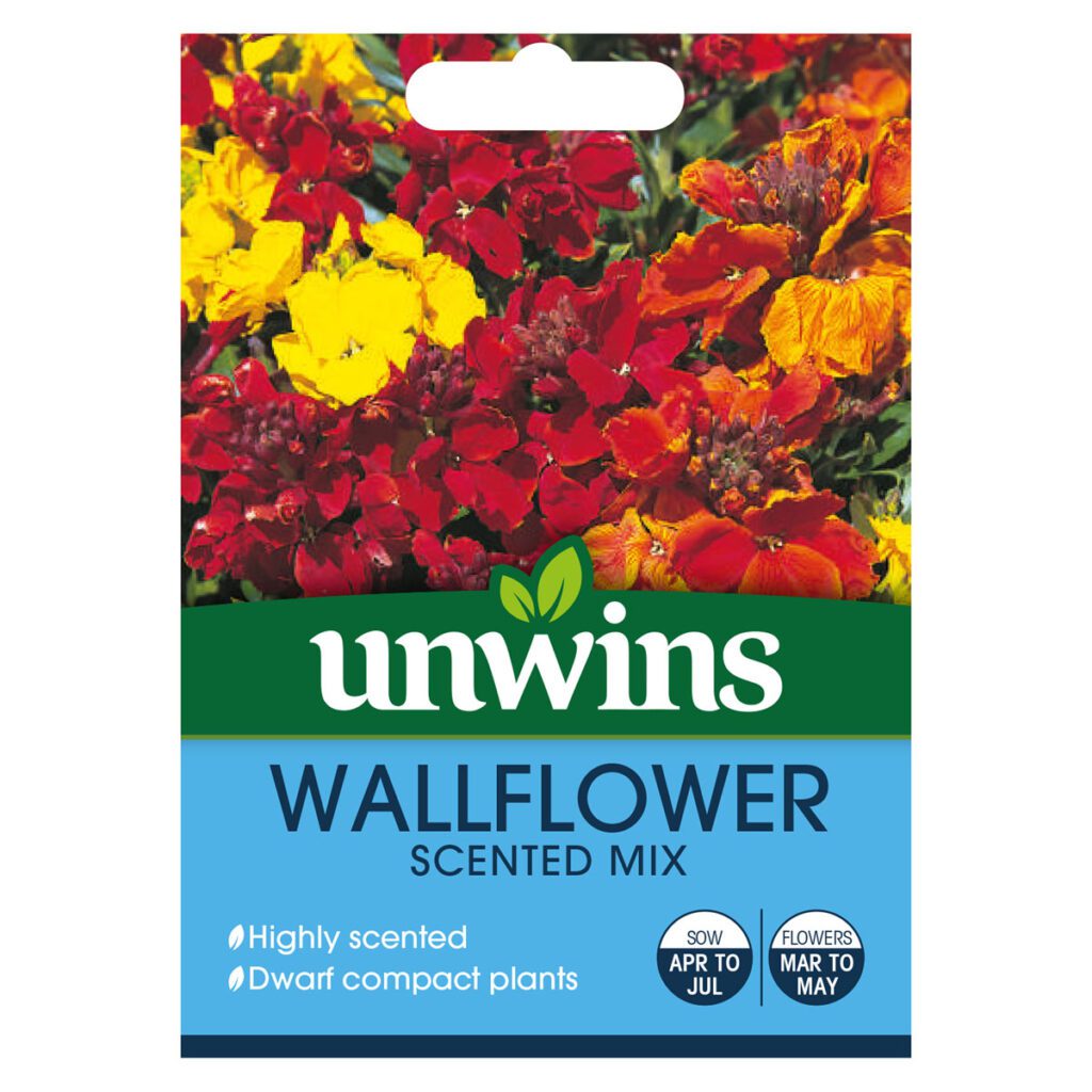 Unwins Wallflower Scented Mix Seeds 5051618028165 2